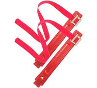 2 Pièces Crochet Robuste pour Extincteur Mural 2kg en Fer Rouge | Fixation Sécurisée, Accès Rapide, pour Véhicules et Entrepôts, Support Compact pour Extincteurs 2kg