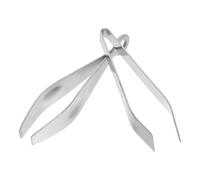 2 Pièces Pince à Arêtes de Poisson en Acier Inoxydable Cuisine | Argenté, Retrait des Os Alimentaires, Nettoyage Facile, Usage la Cuisine et Beauté, Format Pratique