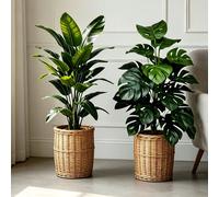 2 pièces Plantes de Bonsaï Artificielles Style Nordique Maison Extra Large, Banane Richesse + Feuille de Tortue Chanceuse, Décoration Extérieure/Intérieure, Convient pour le Nouvel An, Pâques, Pendais