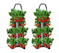 2 Sacs Plantation Fraises à Suspendre en Tissu Non tissé Respirant - avec Trous - pour tomates, Fraises, tomates, Herbes, légumes