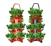 2 sacs plantation fraises à suspendre en tissu non tissé respirant - Avec trous - Pour tomates, fraises, tomates, herbes, légumes