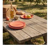 20 assiettes en carton 23 cm Unies terracotta