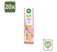 20 bâtonnets parfumés Air Wick, parfum Douce Fleur de Frangipanier - 40 ml - Grand format - 20 pièces
