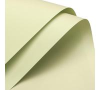 20 feuilles plastique blanc pour emballage fleurs 58 x 58 cm | Film mat imperméable pour bouquets, emballage cadeau, mariages, fêtes, anniversaires et projets DIY.(Milk Green)