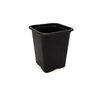 Plastpot - NORTENE - 20 pots carrés - 7x7x6cm - Noir