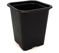 Plastpot - NORTENE - 20 pots carrés - 7x7x6cm - Noir