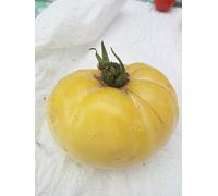 20 graines de BIO Brandywine JAUNE Tomate Rare Heirloom beefsteak non - OGM frais
