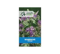20 Graines de bourrache officinale - Fleurs comestibles et mellifères - facile à cultiver