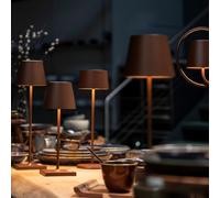 20 Lampes POLDINA PRO ZAFFERANO PROMO
