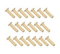 20 Pièces Insert de Raccord de Plomberie à Compression en Laiton | Réutilisable, Étanchéité Renforcée, Installation Facile, pour Tubes et Lignes D’huile, Usage Marin et Entretien Domestique