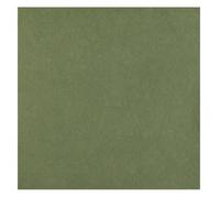 Santex mariage Sachet de 25 Serviettes Rainbow Airlaid 40 x 40 cm, Vert Olive