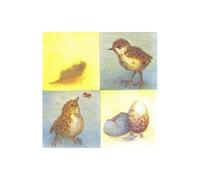 20 Serviettes En Papier Oiseau Et Oeuf 33x33cm - Animaux - Serviettage