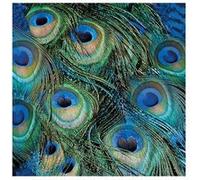 Ambiente Lot de 20 Serviettes en Plumes de Paon 33 cm
