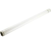 20 W pour lintérieur Mo-el UVA 512 512 Culot G13 1 pc(s)