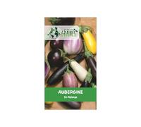 200 graines d'aubergines mixtes variétés anciennes, mélange de couleurs et formes pour ratatouilles et grillades