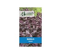 200 graines de basilic pourpre - ocimum basilicum purpurascens - aromatique décorative et parfumée pour cuisine