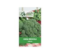 200 Graines de Chou Brocoli Calabrais - Très facile à Cultiver - Récolte Généreuse
