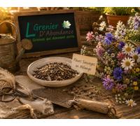 200 graines de Fleurs à semer - Le Grenier d'Abondance - FLEURS SAUVAGES en mélange - Annuelles et vivaces