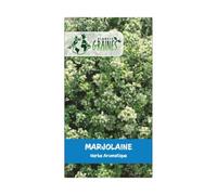 200 Graines de Marjolaine Aromatique et Savoureuse - Thym des jardin