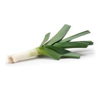 200 Graines de Poireau - légumes jardin potager - méthode BIO