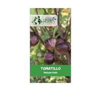 200 graines de tomatillo purple - physalis - Tomatillo du Mexique - Coqueret pourpre