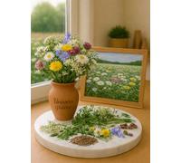 200 Graines Mélange d’herbes pour pâturages de chevaux - 12 variétés - Semences naturelles et bénéfiques - Fleur Jardin - 461