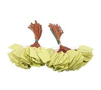 200 pièces étiquettes de nom de graine de plante suspendues en PVC étiquettes marqueurs protection solaire imperméable durable pour jardin pépinière serre blanc bleu jaune 3.5x2.5 (Jaune)