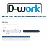 200 Vis Sans Tête 6 Pans Creux à Bout Pointeau STHC 10 x 20 mm - DIN 914 - 45H - Brut - D-Work