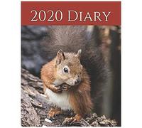 2020 Diary: Weekly Planner & Monthly Calendar - Desk Diary, Journal, Red Squirrel, Wildlife, Wild Animals - 8x10" (Creative Fusion Diary Series)