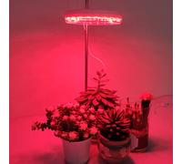 2024 Plante élèvent la lumière 3 Niveaux de synchronisation 10 Niveaux de gradation LED Plante élèvent la lumière Lampe LED alimentée par USB Serre de Jardin imitant Le Spectre