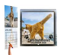 2026 Calendrier - 2026 Caladar Cat Ball | Calendrier Des Chats Drôles-2026 | Organisateur Mensuel Mural Organisateurr Outil De Organisateur De Planificateur De Pour Réfri