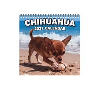 2027 Calendrier 12 Mois Chien Planificateur Annuel Semainier Scolaire | Animal 2027 Calendrier Décor Mural Pour Maison École Classe Université Dortoir Bureau Adultes Enseignant