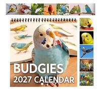 2027 Parrot Wall Calendar - Monthly Bird Planner, Durable Thick Paper, Twin | Monthly Parrot Wall Calendar, Academic Organizer, Appointment Planner | Home Office Classroom Dorm Decor for Bird Lovers