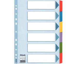 20x Esselte 100168 Intercalaire en carton vierge A4 6 pièces multicolore