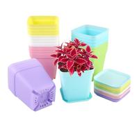 24 Pièces 7CM Petit Pot de Fleur Semis, Coloré Pot Plastique Plante | Godets pour Semis avec Plateau, Carré Godets Pot de Repiquage, Mini Jardiniere pour Petit Plantes, Succulentes, Boutures