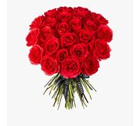 24 Roses Naomi Rozen, coupées pour bouquets