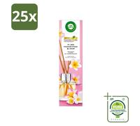 25 bâtonnets parfumés Air Wick, parfum Douce Fleur de Frangipanier - 40 ml - Grand format - 25 pièces