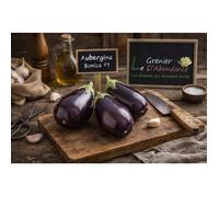 25 graines à semer - Le Grenier d'Abondance - AUBERGINE Noire Brillant Bonica - Spécialité Hybride F1