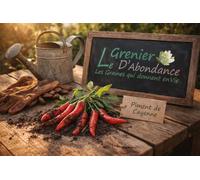 25 graines à semer - Le Grenier d'Abondance - PIMENT Rouge de Cayenne - Capsicum annuum