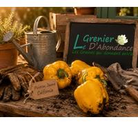 25 graines à semer - Le Grenier d'Abondance - POIVRON Jaune California - Capsicum annuum