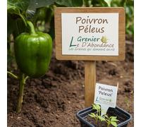 25 Graines à semer - Le Grenier d'Abondance - POIVRON Peleus - Capsicum annuum