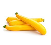 25 Graines de Courgette Goldena - légumes jardins potager - semences paysannes
