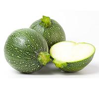 25 Graines de Courgette ronde - légume ancien potager - semences paysannes