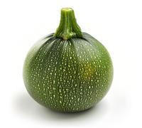 25 Graines de Courgette Ronde - SemiSauvage Permaculture