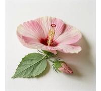 25 Graines d'Hibiscus des Marais - SemiSauvage Permaculture