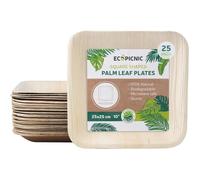 25 pcs Assiettes carrées 25x25 cm en feuille de palmier| Biodégradables, compostables, résistantes - ECOPICNIC