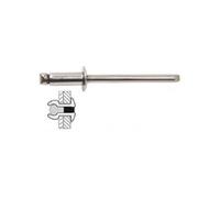 RIVETS INOX/INOX 4,8X10 (25)