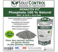 250 g de Minactiv P2® SOLU’CONTROL - Engrais phosphate naturel 0-15-0 + 41,5 CaO - Avec Calcimer® marin et stimulateur microbien - Racines solides, gazon dense et cultures vigoureuses - UAB (Bio)