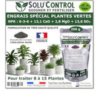 250 g Engrais Spécial Plantes Vertes 6-3-6 - Croissance, Feuillage Dense & Vitalité - Formulation Organo-Minerale - Libération Lente - Convient Plantes Intérieur & Extérieur - Fabriqué en France
