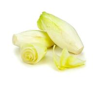 250 Graine D Endive Demi-Hâtive